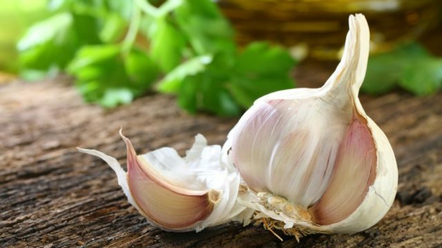 Garlic with pancreatitis