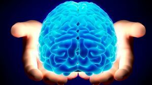 creier hidrocefalie