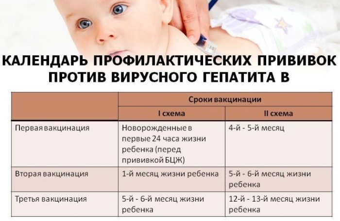 Vaccinaties naar leeftijd van volwassenen. Tabel, die zou moeten zijn