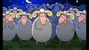 count sheep