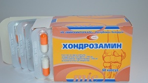 penggunaan chondrosamine