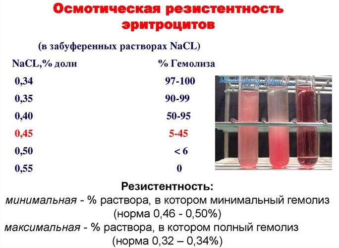 Osmotic resistance of erythrocytes. What is it, how is it determined, the method