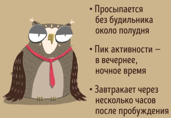 Lark, owl, dove. Types of people, how to define
