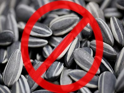 Is it possible to eat sunflower seeds in pancreatitis?