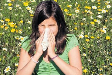 Allergi att blomma: behandling, symptom, förebyggande, orsaker