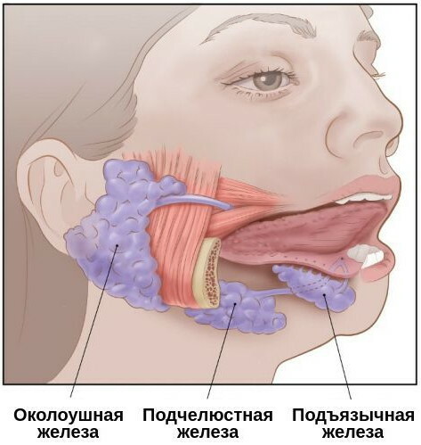 Sore throat and stuffy ears, nose, fever. Causes