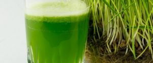 juice from green oats tops