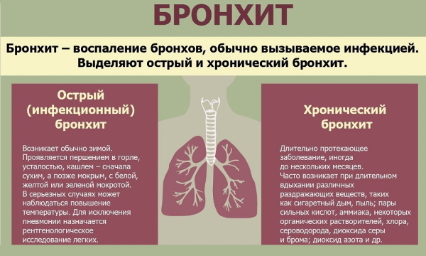 Inflamación de los bronquios. Síntomas en adultos sin y con fiebre, tratamiento.