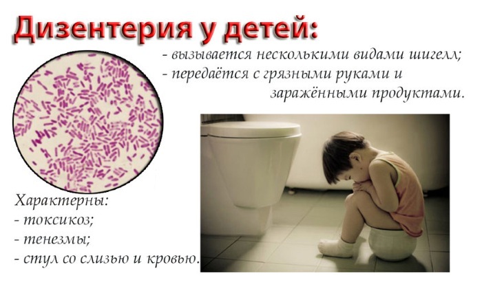 Compresse di levomicetina (Levomicetina) per la diarrea. Istruzioni per l'uso, da cui aiuto, dove acquistare