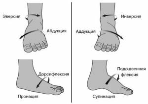 pronace și supinație a piciorului