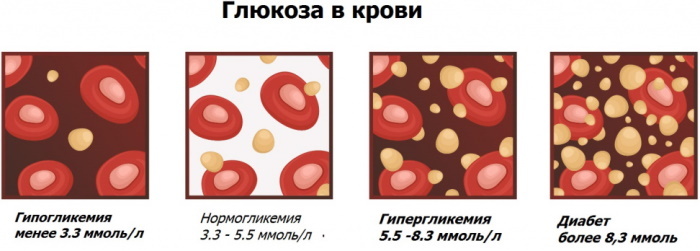 Types of blood tests: what are, names