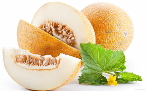 Melona v pankreatitisu