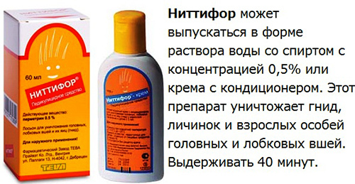 Permethrin for lice, nits. Instructions for use, price, reviews