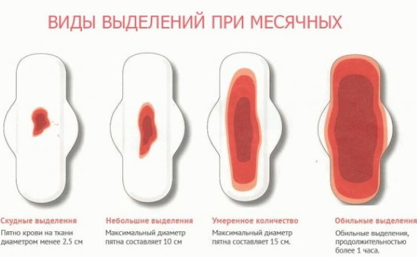 Niveles de regulación del ciclo menstrual, hormonas. Esquema, mesa