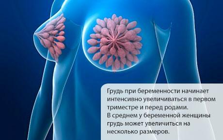 Powiększanie piersi podczas ciąży
