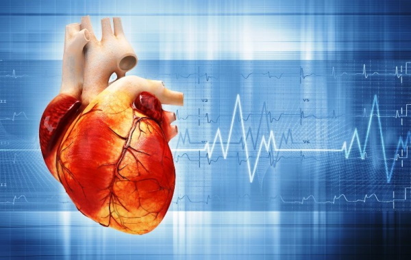 Tachykardie des Herzens. Ursachen, Symptome und Behandlung