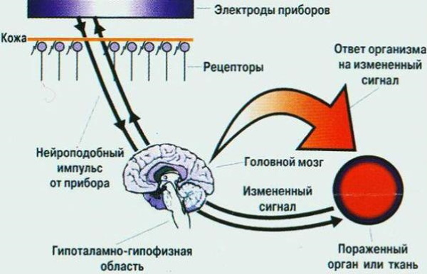 Scenar therapy. What is it, principle of operation, device, reviews