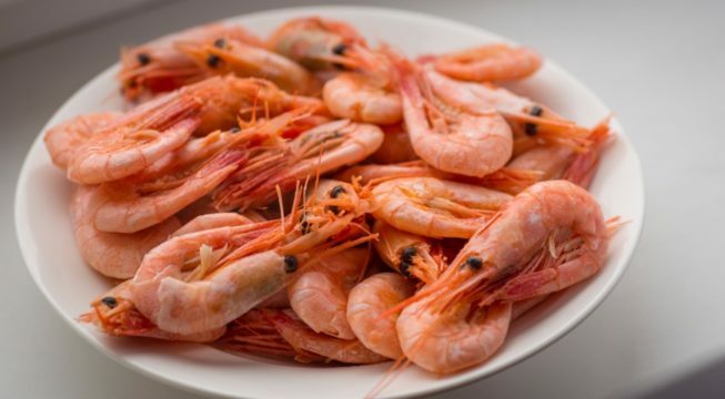 Shrimp with pancreatitis