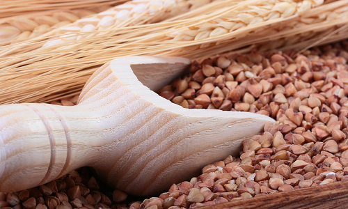 Por que os homens devem comer trigo sarraceno