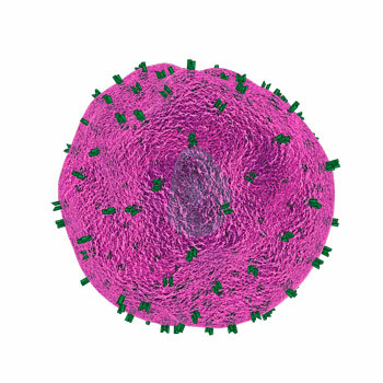 Tamiflu no tratamento da gripe suína