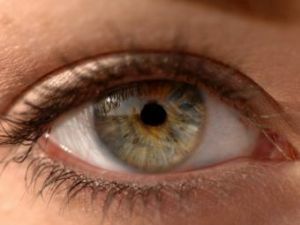 cornea of ​​the eye