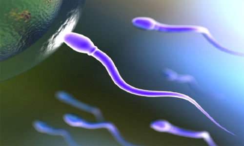 What to do with a reduced volume of sperm