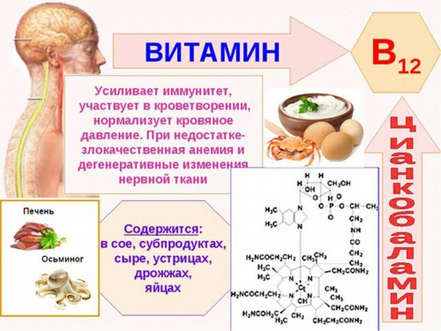Vitamins for improving memory, increasing attention and activating the brain