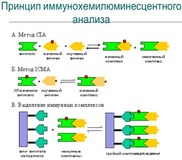 CA 15-3 tumor marker. Norm in women, table, what is it, decoding