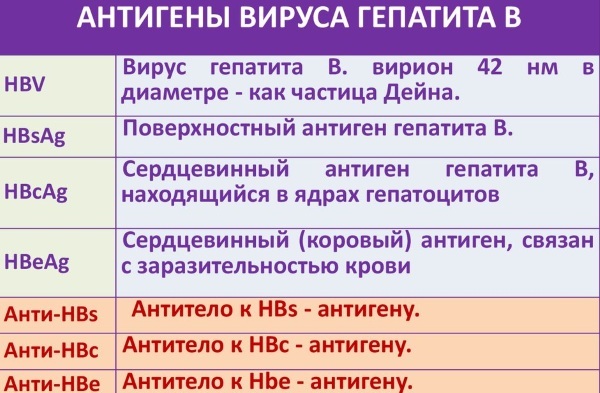 HBsAg blood test. What it means: negative, positive, transcript